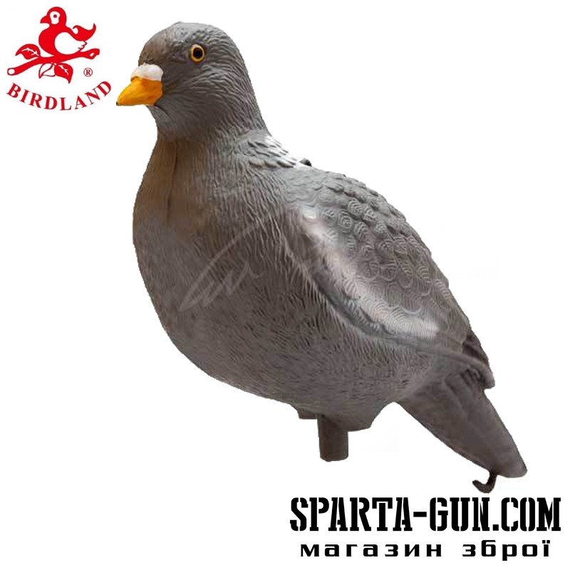 Подсадной голубь Birdland